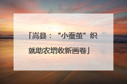 嵩县：“小蚕茧”织就助农增收新画卷