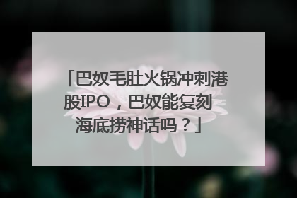 巴奴毛肚火锅冲刺港股IPO，巴奴能复刻海底捞神话吗？