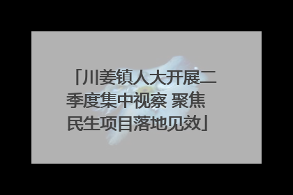 川姜镇人大开展二季度集中视察 聚焦民生项目落地见效