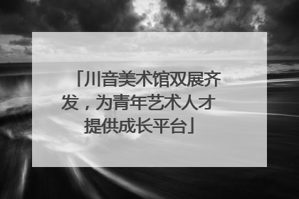 川音美术馆双展齐发，为青年艺术人才提供成长平台