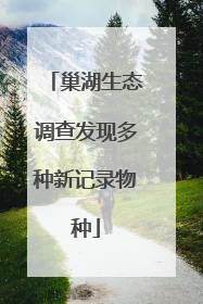 巢湖生态调查发现多种新记录物种
