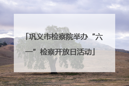 巩义市检察院举办“六一”检察开放日活动