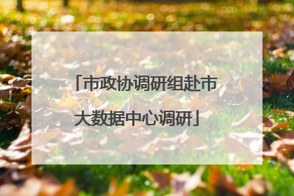 市政协调研组赴市大数据中心调研