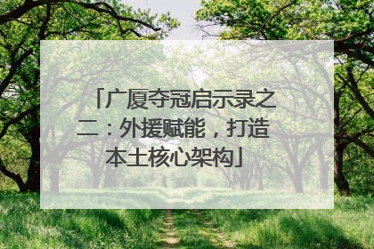 广厦夺冠启示录之二：外援赋能，打造本土核心架构