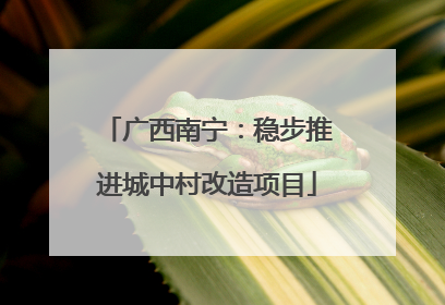 广西南宁：稳步推进城中村改造项目