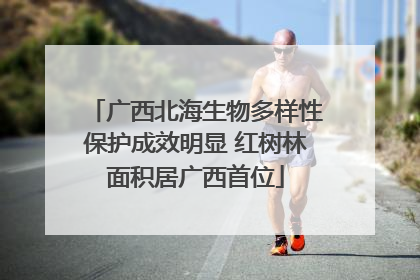 广西北海生物多样性保护成效明显 红树林面积居广西首位