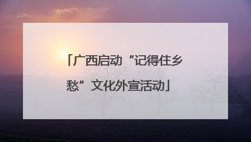 广西启动“记得住乡愁”文化外宣活动