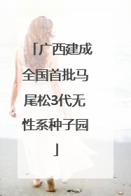 广西建成全国首批马尾松3代无性系种子园