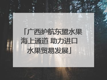 广西护航东盟水果海上通道 助力进口水果贸易发展