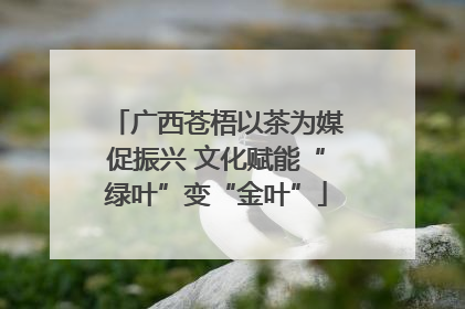 广西苍梧以茶为媒促振兴 文化赋能“绿叶”变“金叶”
