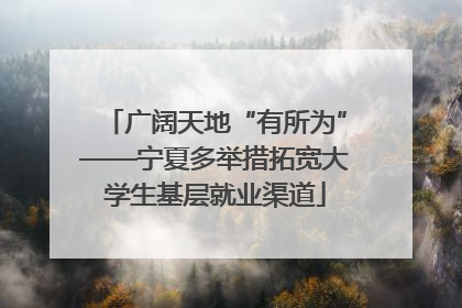 广阔天地“有所为”——宁夏多举措拓宽大学生基层就业渠道