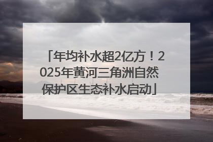 年均补水超2亿方！2025年黄河三角洲自然保护区生态补水启动
