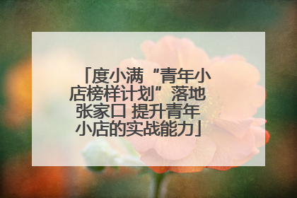 度小满“青年小店榜样计划”落地张家口 提升青年小店的实战能力