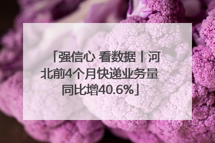 强信心 看数据丨河北前4个月快递业务量同比增40.6%