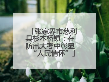 张家界市慈利县杉木桥镇：在防汛大考中彰显“人民情怀”
