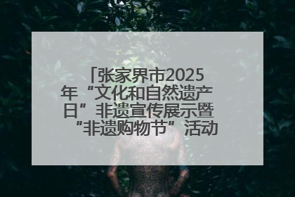 张家界市2025年“文化和自然遗产日”非遗宣传展示暨“非遗购物节”活动在慈利县盛大启幕