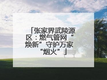 张家界武陵源区：燃气管网“焕新”守护万家“烟火”