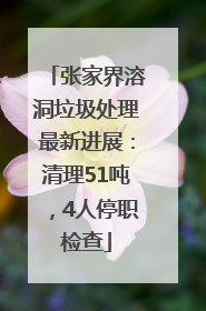 张家界溶洞垃圾处理最新进展：清理51吨，4人停职检查