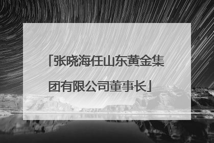 张晓海任山东黄金集团有限公司董事长