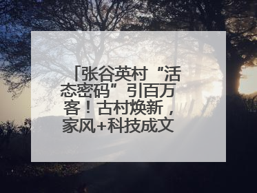 张谷英村“活态密码”引百万客！古村焕新，家风+科技成文旅融合新爆点