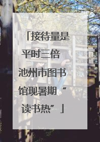 接待量是平时三倍 池州市图书馆现暑期“读书热”