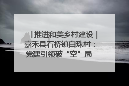 推进和美乡村建设｜嘉禾县石桥镇白珠村：党建引领破“空”局 乡贤聚力绘就新图景