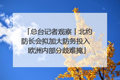 总台记者观察丨北约防长会拟加大防务投入 欧洲内部分歧难掩