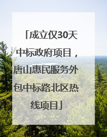 成立仅30天中标政府项目，唐山惠民服务外包中标路北区热线项目