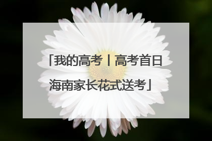 我的高考丨高考首日 海南家长花式送考