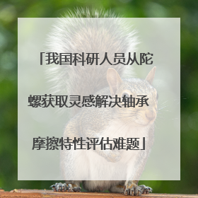 我国科研人员从陀螺获取灵感解决轴承摩擦特性评估难题
