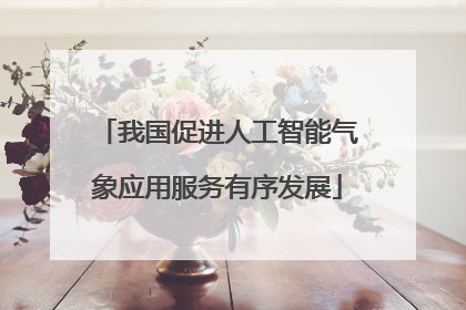 我国促进人工智能气象应用服务有序发展