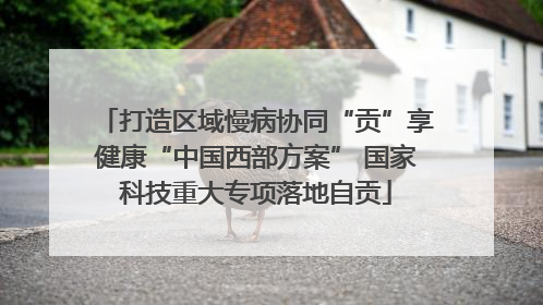 打造区域慢病协同“贡”享健康“中国西部方案” 国家科技重大专项落地自贡