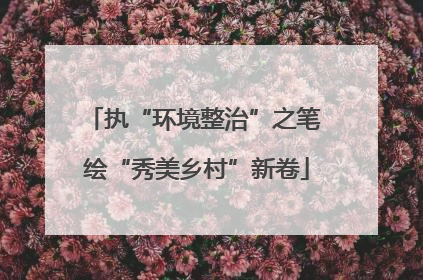 执“环境整治”之笔 绘“秀美乡村”新卷