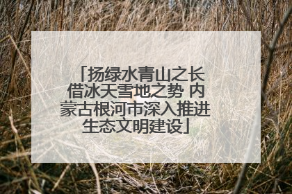 扬绿水青山之长 借冰天雪地之势 内蒙古根河市深入推进生态文明建设