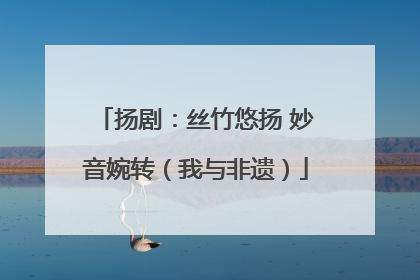 扬剧：丝竹悠扬 妙音婉转（我与非遗）
