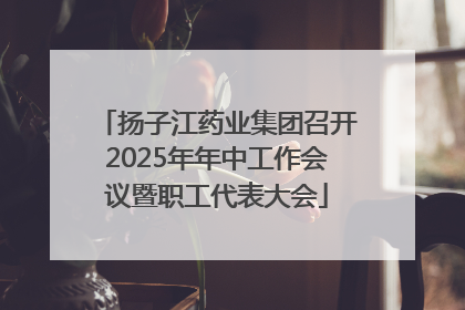 扬子江药业集团召开2025年年中工作会议暨职工代表大会