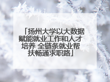 扬州大学以大数据赋能就业工作和人才培养 全链条就业帮扶畅通求职路