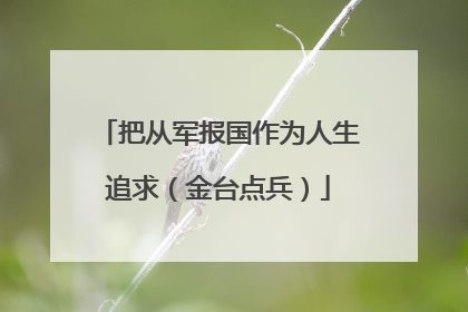 把从军报国作为人生追求（金台点兵）