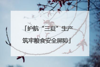 护航“三夏”生产 筑牢粮食安全屏障