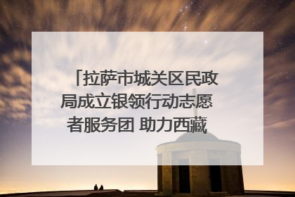 拉萨市城关区民政局成立银领行动志愿者服务团 助力西藏银发经济发展