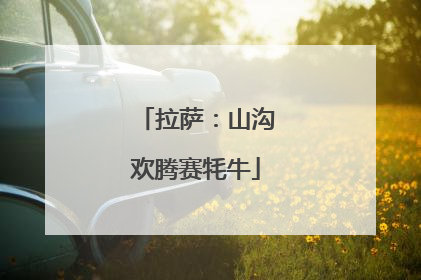 拉萨：山沟欢腾赛牦牛