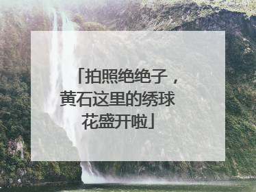拍照绝绝子，黄石这里的绣球花盛开啦