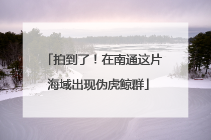 拍到了！在南通这片海域出现伪虎鲸群