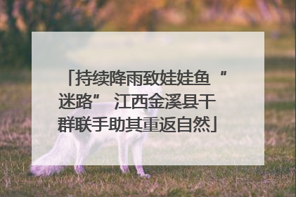 持续降雨致娃娃鱼“迷路” 江西金溪县干群联手助其重返自然