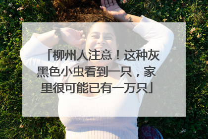 柳州人注意！这种灰黑色小虫看到一只，家里很可能已有一万只