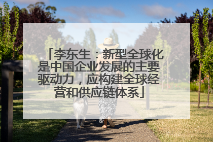李东生：新型全球化是中国企业发展的主要驱动力，应构建全球经营和供应链体系