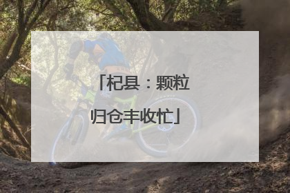 杞县：颗粒归仓丰收忙