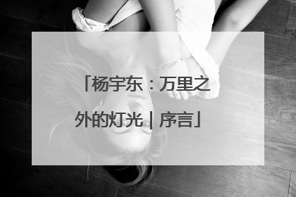 杨宇东：万里之外的灯光｜序言