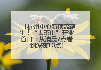 杭州中心新顶流诞生！“去茶山”开业首日：从清晨7点卷到深夜10点