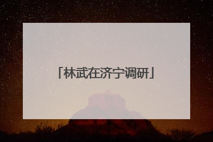 林武在济宁调研